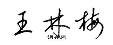 梁錦英王林梅草書個性簽名怎么寫