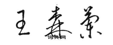 駱恆光王森蘭草書個性簽名怎么寫