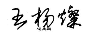 朱錫榮王楊燦草書個性簽名怎么寫