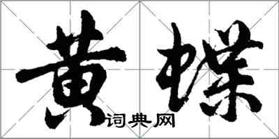 胡問遂黃蝶行書怎么寫