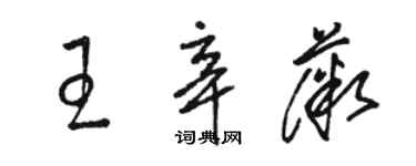 駱恆光王辛薇草書個性簽名怎么寫