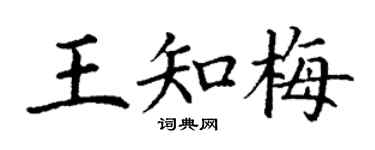丁謙王知梅楷書個性簽名怎么寫