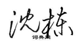 駱恆光沈棟草書個性簽名怎么寫