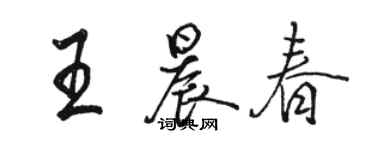 駱恆光王晨春行書個性簽名怎么寫