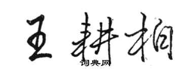 駱恆光王耕柏行書個性簽名怎么寫