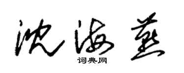 朱錫榮沈海燕草書個性簽名怎么寫