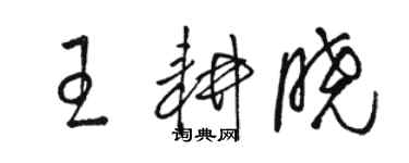 駱恆光王耕曉草書個性簽名怎么寫