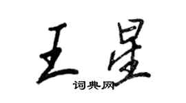 王正良王星行書個性簽名怎么寫