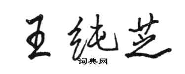 駱恆光王純芝行書個性簽名怎么寫