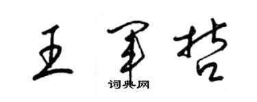 梁錦英王軍哲草書個性簽名怎么寫