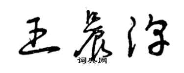 曾慶福王晨淳草書個性簽名怎么寫