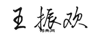 駱恆光王振歡行書個性簽名怎么寫