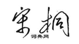駱恆光宋桐草書個性簽名怎么寫