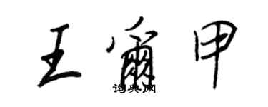 王正良王爾甲行書個性簽名怎么寫