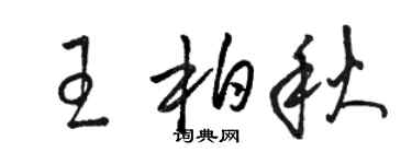 駱恆光王柏秋草書個性簽名怎么寫