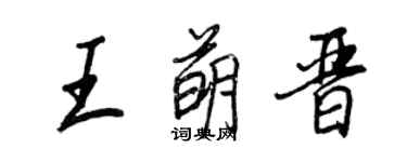 王正良王萌晉行書個性簽名怎么寫