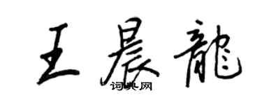 王正良王晨龍行書個性簽名怎么寫