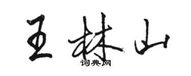 駱恆光王林山行書個性簽名怎么寫