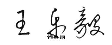 駱恆光王樂毅草書個性簽名怎么寫