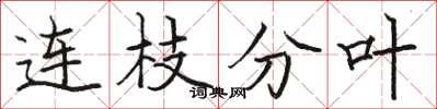 駱恆光連枝分葉楷書怎么寫