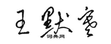 駱恆光王默寒草書個性簽名怎么寫