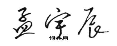 駱恆光孟宇辰草書個性簽名怎么寫