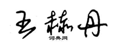 朱錫榮王赫丹草書個性簽名怎么寫