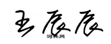 朱錫榮王辰辰草書個性簽名怎么寫