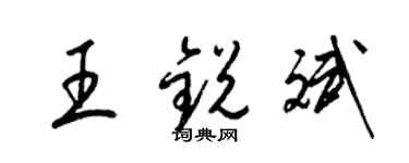 梁錦英王銳斌草書個性簽名怎么寫