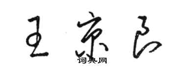 駱恆光王京良草書個性簽名怎么寫