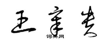 曾慶福王章貴草書個性簽名怎么寫