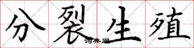 丁謙分裂生殖楷書怎么寫