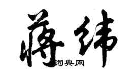 胡問遂蔣緯行書個性簽名怎么寫