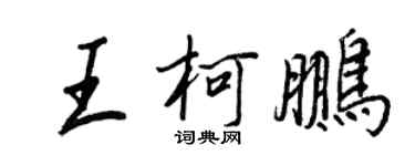 王正良王柯鵬行書個性簽名怎么寫