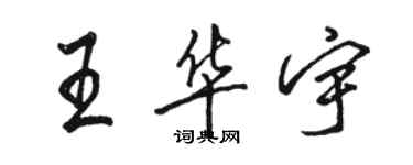 駱恆光王華宇行書個性簽名怎么寫