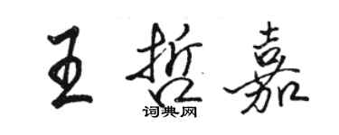 駱恆光王哲嘉行書個性簽名怎么寫