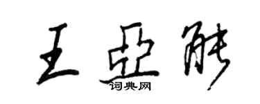 王正良王亞能行書個性簽名怎么寫