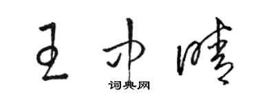 駱恆光王中晴草書個性簽名怎么寫