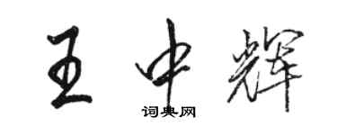 駱恆光王中輝行書個性簽名怎么寫