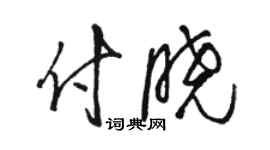 駱恆光付曉草書個性簽名怎么寫