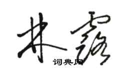 駱恆光林露草書個性簽名怎么寫