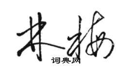 駱恆光林梅草書個性簽名怎么寫