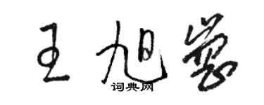 駱恆光王旭崗草書個性簽名怎么寫