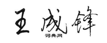 駱恆光王成鋒行書個性簽名怎么寫