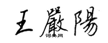 王正良王嚴陽行書個性簽名怎么寫