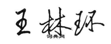 駱恆光王林環行書個性簽名怎么寫