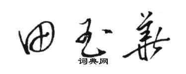 駱恆光田玉華草書個性簽名怎么寫