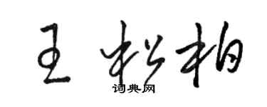 駱恆光王松柏草書個性簽名怎么寫