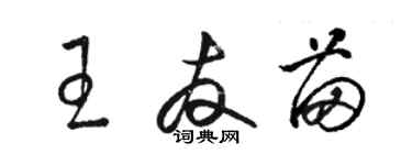 駱恆光王友苗草書個性簽名怎么寫