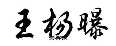 胡問遂王楊曝行書個性簽名怎么寫